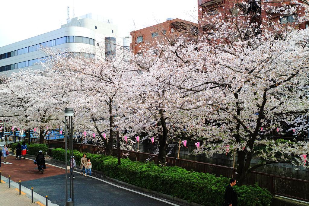 Coto Tokyo Shibuya Apartment Екстериор снимка